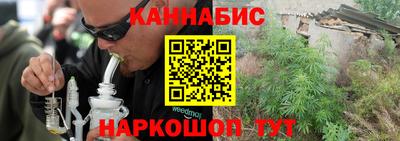 сатива Краснодар