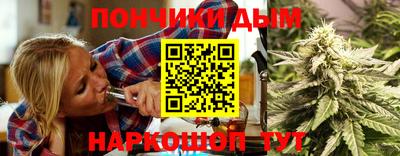 сатива Краснодар